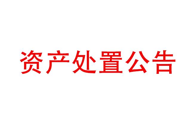 閑置設備資產處置公告（2023-27）